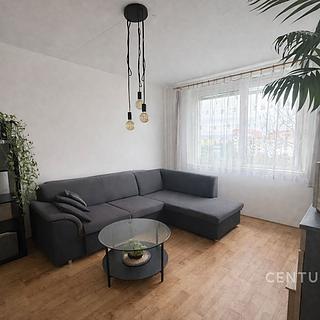 Prodej bytu 1+1 32 m&sup2; Olomouc