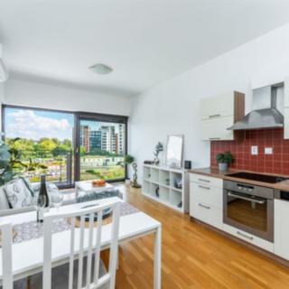 Pronájem bytu 2+kk 54 m² Praha Holešovice, Jankovcova