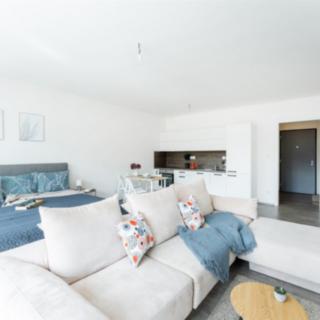 Pronájem bytu 1+kk a garsoniéry 42 m² Liberec IV-Perštýn, Na Perštýně