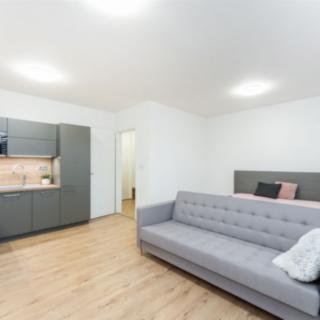 Prodej bytu 1+kk a garsoniéry 37 m² Liberec IV-Perštýn, Na Perštýně
