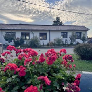 Prodej rodinného domu 125 m² Zálezlice