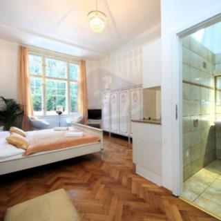 Pronájem bytu 1+kk a garsoniéry 24 m² Praha, Široká