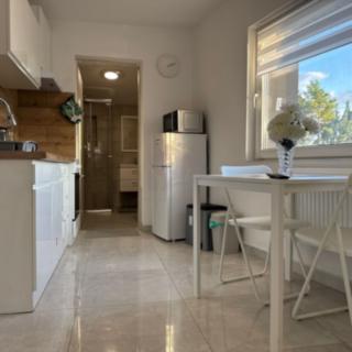 Pronájem bytu 1+1 28 m² Kojetice
