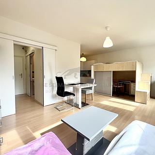Pronájem bytu 1+kk, garsoniery 36 m&sup2; Praha