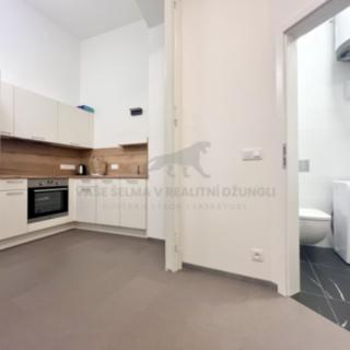 Pronájem bytu 1+1 35 m² Praha Staré Město, Smetanovo nábřeží
