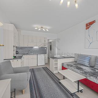 Pronájem bytu 1+kk a garsoniéry 25 m² Praha Dolní Měcholupy, Honzíkova