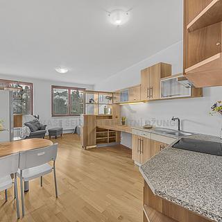 Prodej bytu 1+kk a garsoniéry 34 m² Praha Podolí, Dvorecká