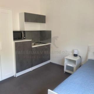 Pronájem bytu 1+kk, garsoniery, 21m²