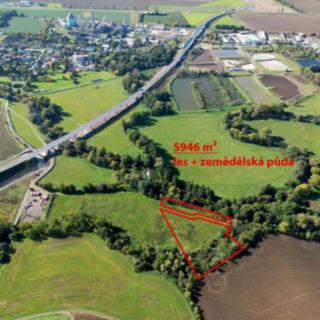 Prodej lesa 5 946 m² Opava Milostovice