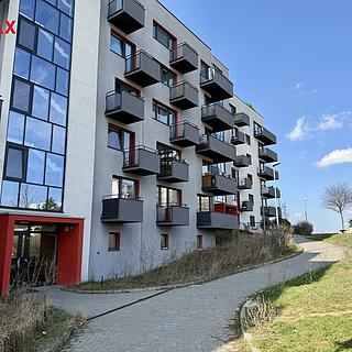 Pronájem bytu 1+kk, garsoniery 9573 m&sup2; Brno