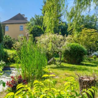 Prodej rodinného domu 358 m² Včelákov