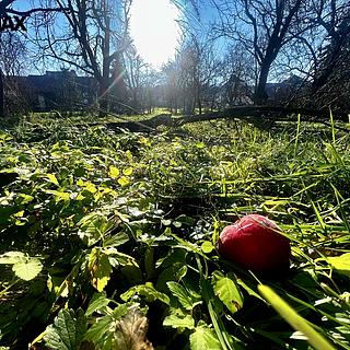 Prodej stavební parcely 1 608 m² Podolí