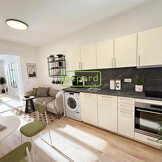 Pronájem bytu 2+kk 39 m² Praha Žižkov, Vlkova