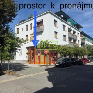 Pronájem obchodu 40 m² Dobřichovice, V Zahradách