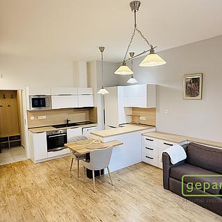 Pronájem bytu 1+kk, garsoniery 34 m² Dobřichovice