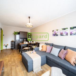 Prodej bytu 3+1 57 m² České Budějovice 7, Komenského