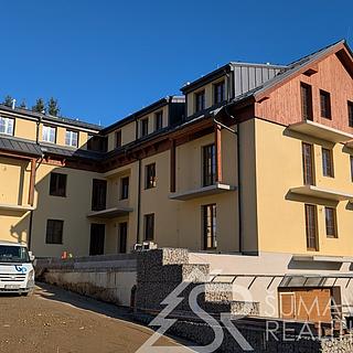 Prodej bytu 1+kk, garsoniery 30 m² Kašperské Hory