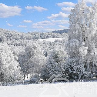 Prodej stavební parcely 3 500 m² Sušice Záluží
