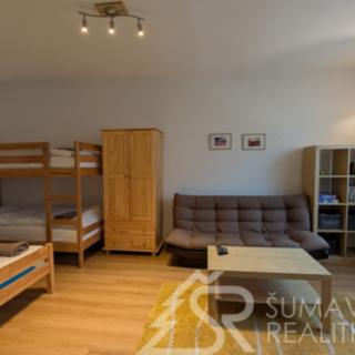 Pronájem bytu 1+1 40 m² Železná Ruda, U Řezné