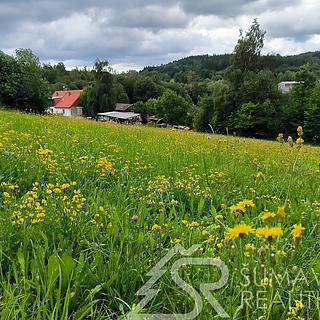 Prodej stavební parcely 2272 m&sup2; Sušice