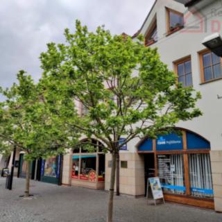 Pronájem bytu 3+kk 96 m² Mladá Boleslav I, Staroměstské náměstí