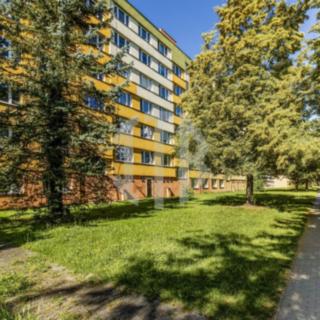 Pronájem bytu 2+1 70 m² České Budějovice 3, Pekárenská