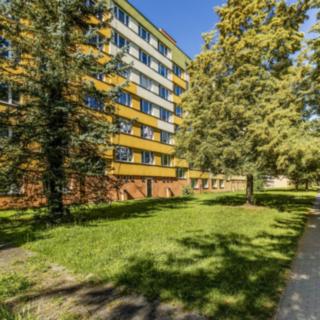 Pronájem bytu 2+kk 36 m² České Budějovice