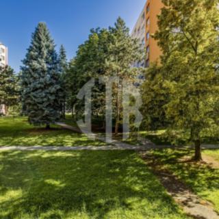 Pronájem bytu 2+1 70 m² České Budějovice 3, Pekárenská