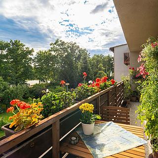 Prodej bytu 3+1 82 m² České Budějovice 2, Zavadilka