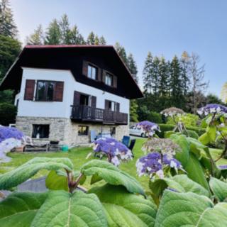 Prodej rodinného domu 361 m² Loučovice