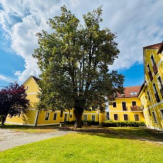 Prodej bytu 3+kk 63 m² Dobrá Voda u Českých Budějovic