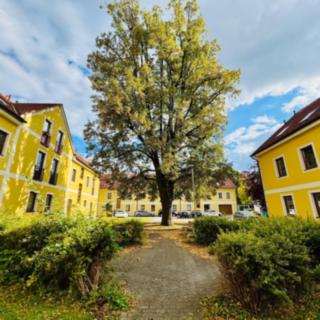 Prodej bytu 3+kk 63 m² Dobrá Voda u Českých Budějovic, Lázeňská