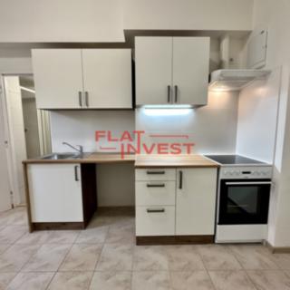 Pronájem bytu 1+1 26 m² Praha Žižkov, Milíčova