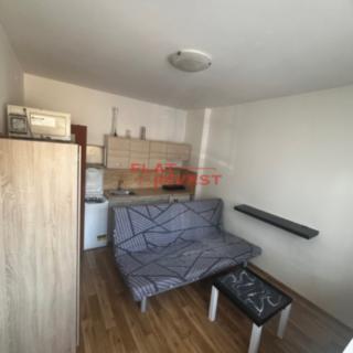 Prodej bytu 1+kk, garsoniery 19 m² Benešov nad Ploučnicí