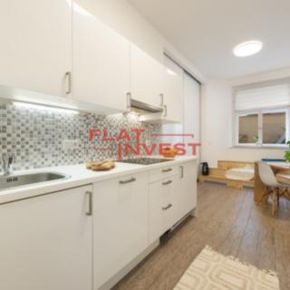 Pronájem bytu 1+1 42 m² Praha