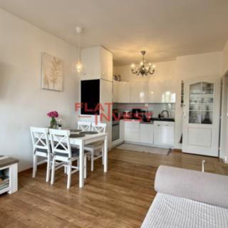 Pronájem bytu 2+kk 46 m² Praha Kyje, Pelušková