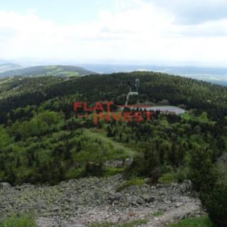 Prodej lesa 12 712 m² Liberec XXIV-Pilínkov