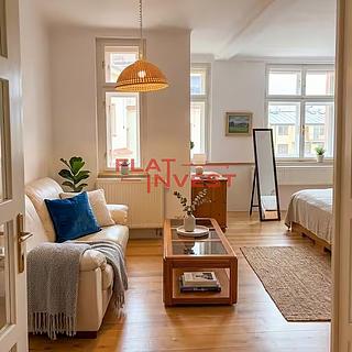 Pronájem bytu 1+1 45 m&sup2; Praha