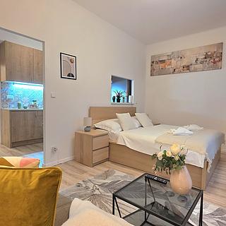 Pronájem bytu 1+1 31 m&sup2; Praha