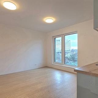 Pronájem bytu 1+kk, garsoniery, 25m²