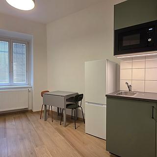 Pronájem bytu 1+kk a garsoniéry 16 m² Praha Libeň, Sokolovská