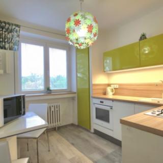 Pronájem bytu 1+1 43 m² Praha