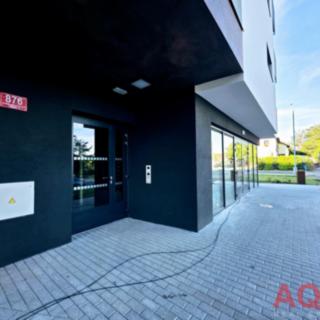 Pronájem bytu 1+kk, garsoniery 31 m² Praha