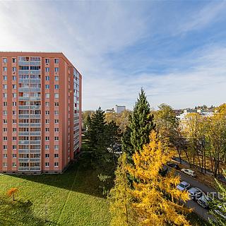 Prodej bytu 3+1 64 m² Šternberk