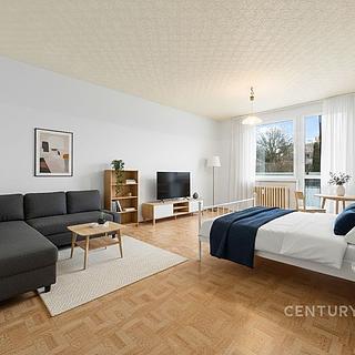 Prodej bytu 1+1 40 m² Častolovice, U Konopáče