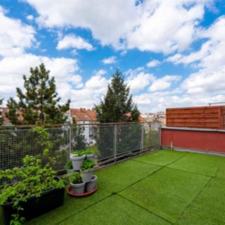 Prodej ostatního 105 m² Brno