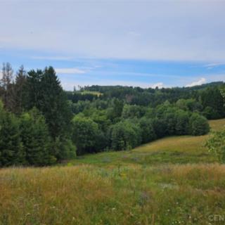 Prodej ostatního pozemku 8 393 m² Železný Brod