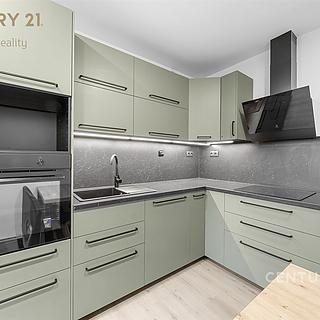 Prodej bytu 3+1 62 m² Teplice Trnovany, Metelkovo náměstí