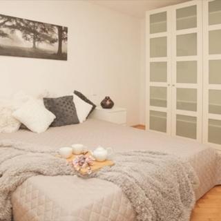 Pronájem bytu 3+1 60 m² Roudnice nad Labem, Hakenova