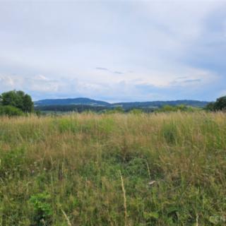 Prodej ostatního pozemku 8 393 m² Železný Brod